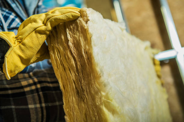 Best Types of Insulation in Cedar Rapids, IA