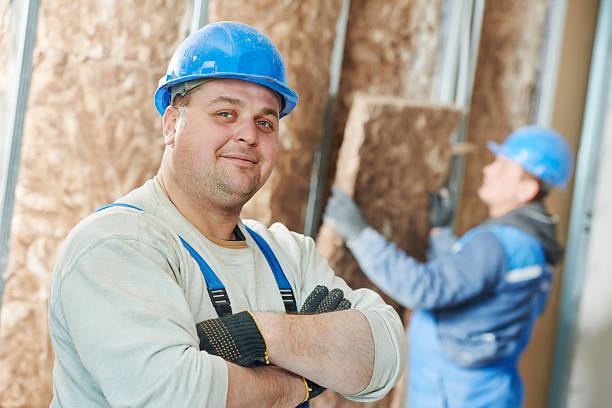 Best Insulation Installation Services in Cedar Rapids, IA