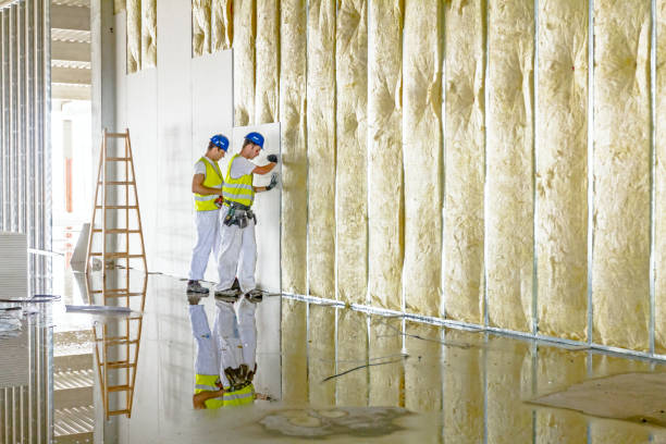 Best Insulation for Specific Applications in Cedar Rapids, IA